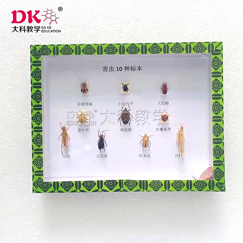 如何制作昆蟲標(biāo)本